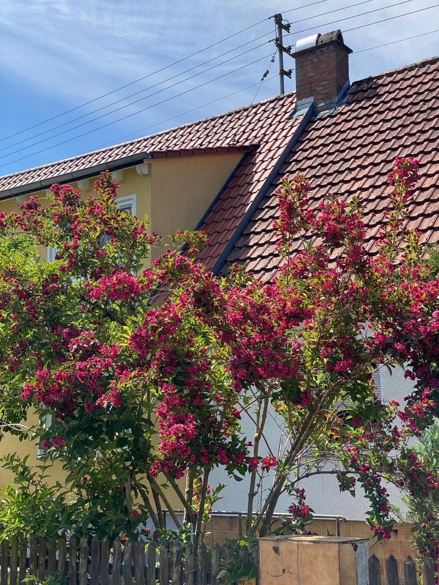 Haus Am Kuhsee Augsburg Exterior foto